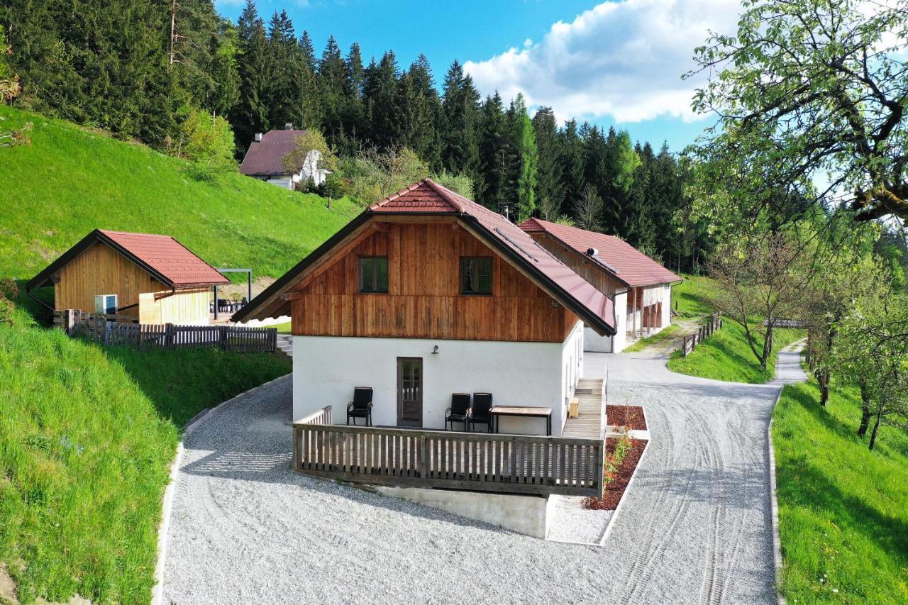 Villa Richterberg With Sauna & Hot Tub Словень-Градец Экстерьер фото
