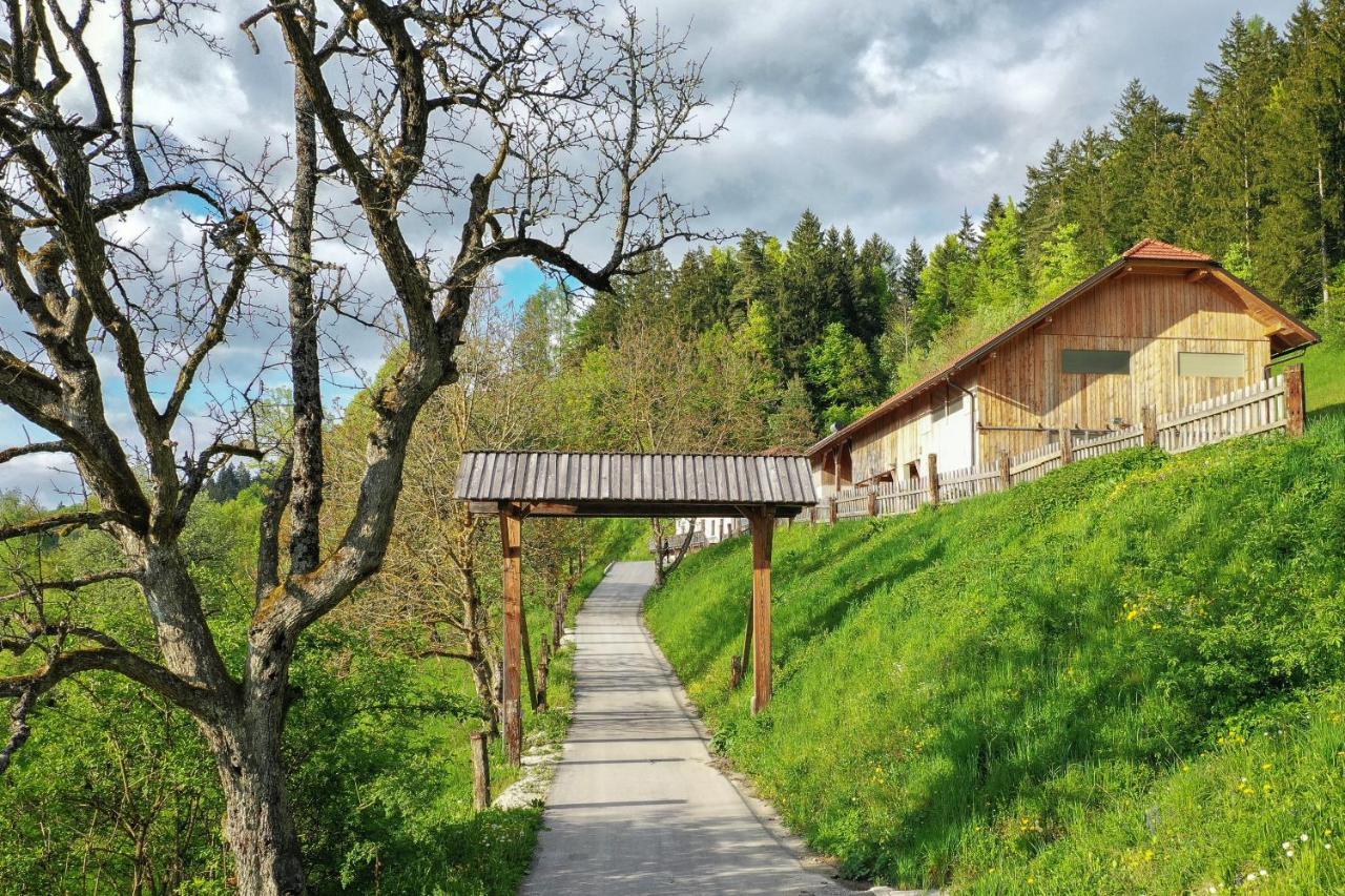 Villa Richterberg With Sauna & Hot Tub Словень-Градец Экстерьер фото